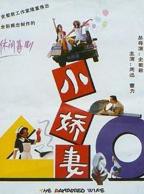 《小妻子》在线观看免费版电视剧超清未删减版第01集